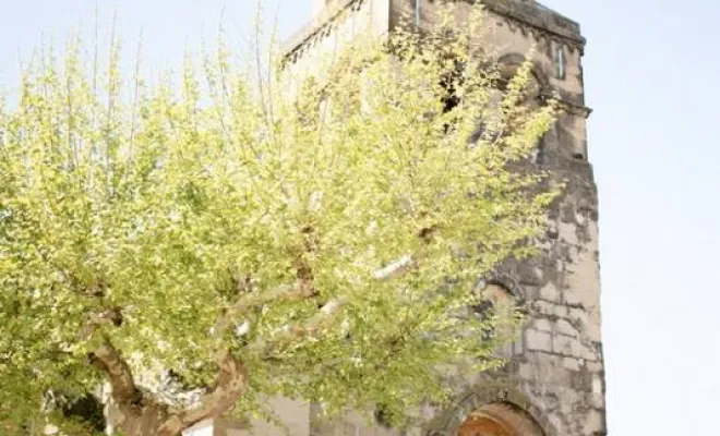 Le doux mariage de Sophie et Jérémy à la Bastide de jaillans - Drôme, Bourgoin-Jallieu, Mélanie Orsini